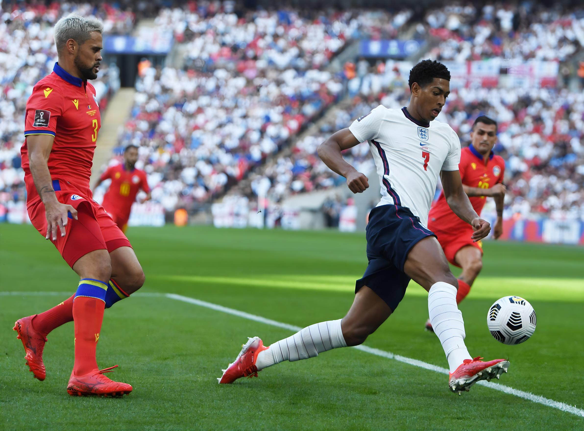 期待更多西 期待更多西